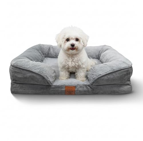 Ahiz Orthopedic Memory Foam Dog Bed, Small Size (61x46x15 cm), Removable Washable Cover, Waterproof Liner, Non-Slip Base, Soft Pet Sofa Bed for Dogs & Cats, Grey