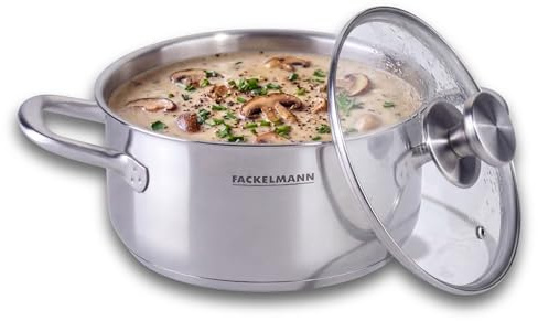Fackelmann Kochtopf mit Deckel Ø 20 cm – Edelstahl, 2,5l, ergonomischer Griff, Für Gas-, Elektro- und Glaskeramikherde, Hitzebeständigkeit +220 °C, Spülmaschinengeeignet
