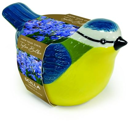 Taylors Bulbs Novelty Blue Tit Planter