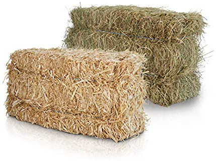 heukoenig.de - Heuballen/Strohballen - aus Wiesenheu - für Kaninchen, Meerschweinchen, Pferde - aus Deutscher Ernte (1 Ballen Stroh + 1 Ballen Heu)