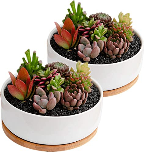 disdain Plant Flower Pots Indoor, 2-pack Set Ceramic Flower Pots Planter, white Ceramic Plant Pot Small Round Plant Pots for Home Office Decoration