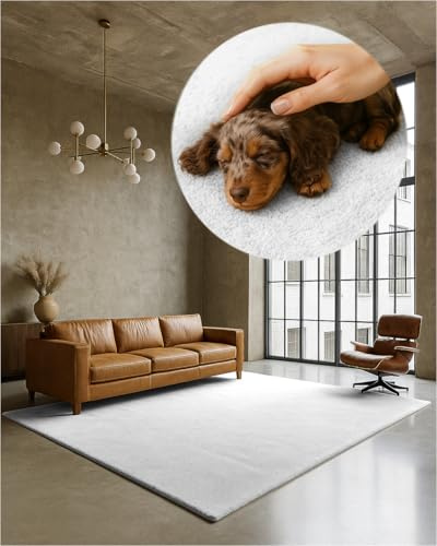 TEXMAXX Weicher Kurzflor Teppich Wohnzimmer mit rutschhemmender Rückseite (80 x 200 cm) - Modern für Flur, Esszimmer und als Schlafzimmer Teppich in Weiß - Waschbar bis 30 Grad
