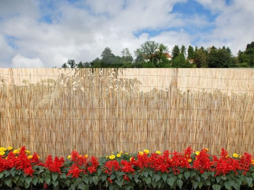 Home Tresor - Frangivista per Recinzione Bamboo, Arella in bambù, Stecche Staccionata Canne Ombreggianti per Balcone Giardino da Esterno 1,5x5 mt