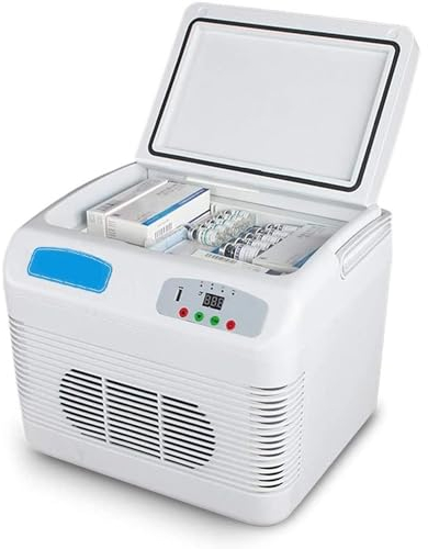 Frigo Portatile Per Farmaci Per Insulina, Frigorifero Per Farmaci, Contenitore Per Penne Per Insulina Con Interferone, Frigorifero Di Grande Capacità Da 12 Litri, Per Borsa Termica Medica Da Viaggio
