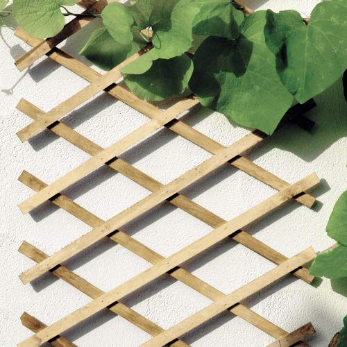 bellissa Scherengitter ausziehbar - Rankgitter Holz-Spalier oder Scherenspalier Rankhilfe im Garten Natur 270x45 cm