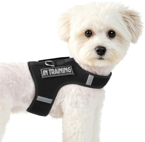 Sunraymascota Welpen-Geschirr für kleine Hunde + 2 Klettpatches,Schwarz,S | D-Ring, schnelles An- und Ausziehen, leicht und atmungsaktiv – ideal für Spaziergänge und Training mit dem Hund