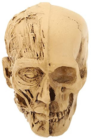 DECHOUS 1stück Realistischer Halloween Schädel-dekorationsartikel Für Unheimliche Partys Und Stimmungsvolle Dekorationen Halloween Schädel Deko Für Gruselpartys Und Festliche Anlässe