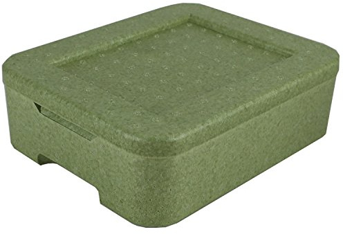 2x W1 Thermobox grün für 1 Menüschale | Styropor | wiederverwendbar wiederverwendbare MENÜBOX-Transportbehälter für Catering und Lieferdienste