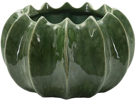 Mauro Ferretti Cachepot Cactus Ø 22x13,5 cm in Ceramica Verde