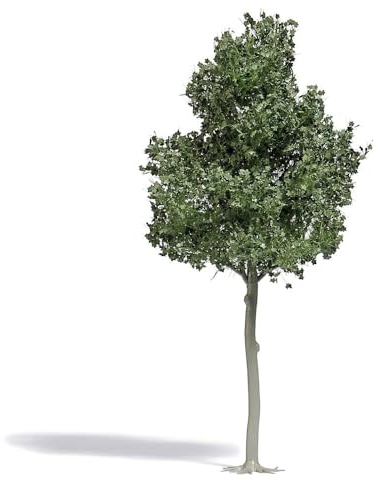 Busch 3799 Arbre en hêtre 1 pièce