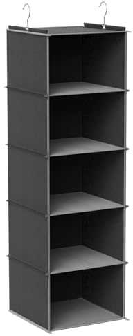Lectorias 5 Fächer hängeregal, hängeorganizer faltbar und platzsparend, spind Organizer hängeaufbewahrung, kleiderschrank Organizer hängend, hänge Regal für Schlafzimmer, 2 Seitentaschen