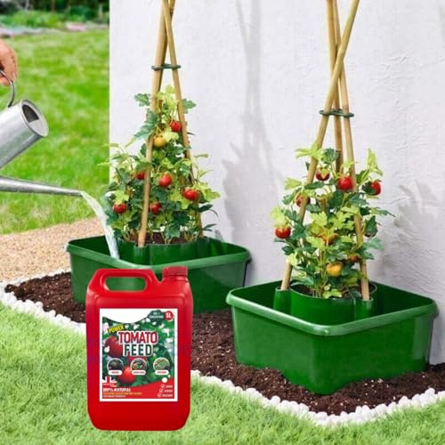 Dunnet Tools - 3 macetas de tomate con soporte para plantas de alimentación de tomate, invernaderos, macetas de jardín para interiores y exteriores, líquidos, alimentos, vegetales, fertilizantes para