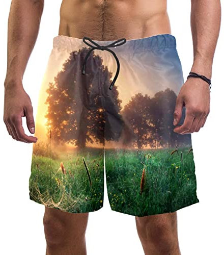 WOSHJIUK Herren-Shorts,Badehose,schnell trocknend,Feld Wald Szene Baum,Board Short Outdoor Walk Beach Bademode