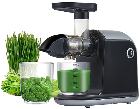 Juicer Machines, Slow Masticating Cold Press Vegetable and Fruit Juice Extractor for Whole Fruits and Vegetables, Delicate Chew, BPA Free Juice Extractor with 2 Cups and Brush