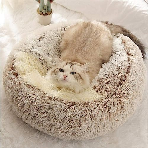 Generisch Flauschiges Katzenbett rund, 2-in-1 Winter Katzenhöhle mit Kapuze, weiches Plüsch-Schlafkissen, rutschfest, maschinenwaschbar, ideal für Katzen & kleine Hunde