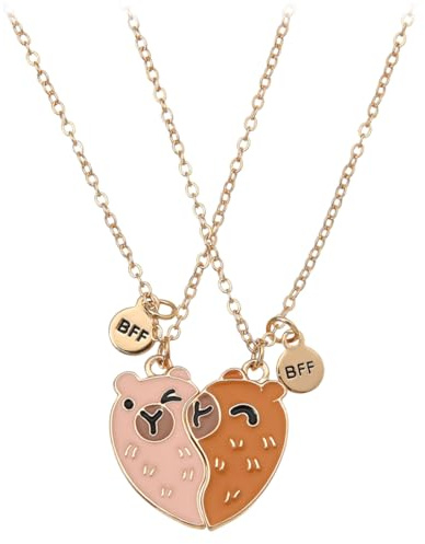 OIXYA FloralGrace Capybara Friendship Necklaces,Capibara Friendship Necklaces for 2 Girls,freundschaftskette,BFF Heart Hands,Matching Chains,Capybara Pendant, Pack of 2