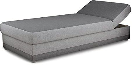Bett Andre 90x200cm mit Bettkasten - Sofa, Schlafsofa, Regulierbarer Rückenlehne, Bettgestell, Schlafzimmer, Kinderzimmer (Grau (Sawana 05 + 21))
