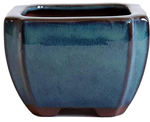 WLBHWL Regali E Decorazioni Vaso da Fiori in Tono Gioiello Fioriera in Terracotta Vasi per Bonsai in Gres Smaltato Fioriera Angolare Quadrata con Cactus