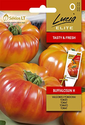 Lucia Elite | POMODORO BUFFALOSUN H semi | Semi pomodoro | Semi di ortaggi | semi di piante | Semi da giardino | 1 pacchetto