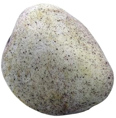 Pietra nascondiglio chiave Portachiavi in ​​finta pietra, sicuro, for esterni, in finta roccia, for nascondere le chiavi, decorazione da giardino, scomparto segreto, scatola di immagazzinaggio realist