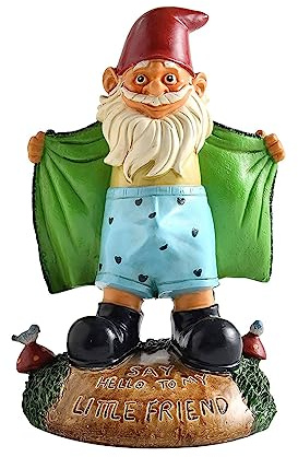 doyeozoowen Funny Garden Gnome Statue Resin Gnomes Figurines SAY Hello to My Little Friend Indoor Ornament Gift Outdoor Garden Decorations for Home Patio Yard Lawn Porch (Green)