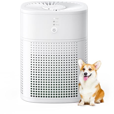 MERONTE Luftreiniger Allergiker mit Aromatherapie, Air Purifier für Raucherzimmer, Luftreiniger mit HEPA Luftfilter gegen 99,97 Prozent Schimmel Staub Pollen Tierhaare, 24dB, 1 Pack+3 Modi