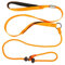 Slip Lead for Dogs Leash with Comfy Handle Adjustable Collar Thin Dog Lead Strong Sturdy Anti-Pull Anti-Choking Nylon Training Rope for Outdoor Puppy Small Medium Large Dogs (orange)
