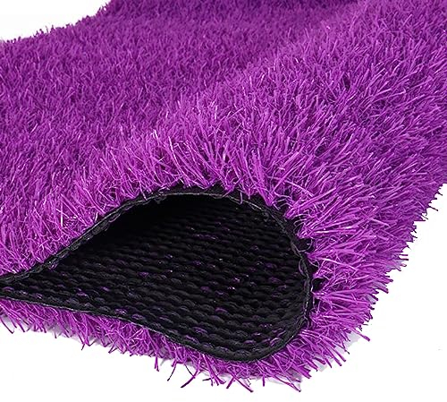 LOOQS Kunstrasenteppich, 3 cm hohes lila Gras für Garten, Terrasse, Eingang, Balkon und Terrasse (Size : 2x3m)