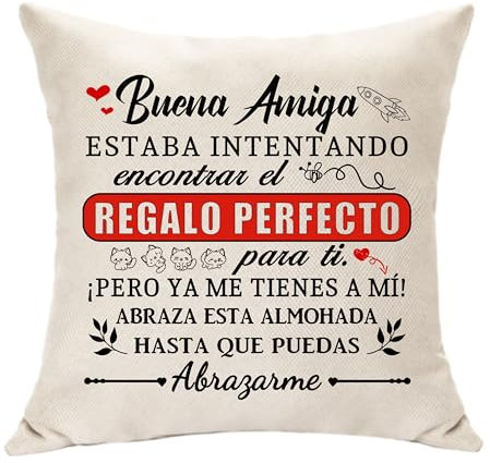 Hasodeo Mejor Amiga Regalos para Las Mujeres los Hombres Funda de Cojín Regalos de Larga Distancia Decoración de Recuerdos Regalos para Alma Hermana Amistad Regalos Abrazo (Buena Amiga)