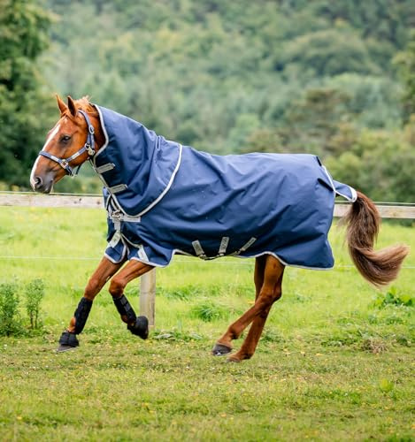 Horseware Amigo 1200D Original (Bravo 12) Turnout Plus 100g Weide Decke Navy/Titanium Grey & Silver
