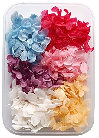Fictory Assortiment de fleurs séchées naturelles préservées avec hortensia, eucalyptus, pommes de pin pour scrapbooking, décoration d'intérieur, art en résine et arrangements de mariage