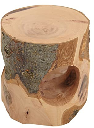 RASTKY Golden Bear Tunnel à Mâcher pour Hamster, Tronc d'arbre Grimpant avec Trou en T, Favorise la santé Dentaire, Bois de Pommier de Haute qualité, Diamètre du Trou de 4 Cm, 1 X Tronc – Idéal pour