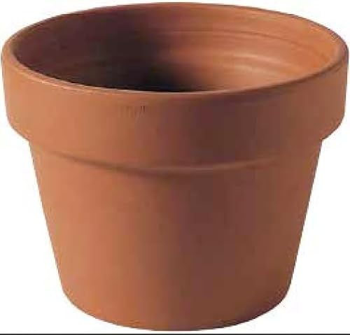 Pots en terre cuite (10 pièces) Made in Italy - Jardinière en cuit, diamètre 19 cm, hauteur 13 cm