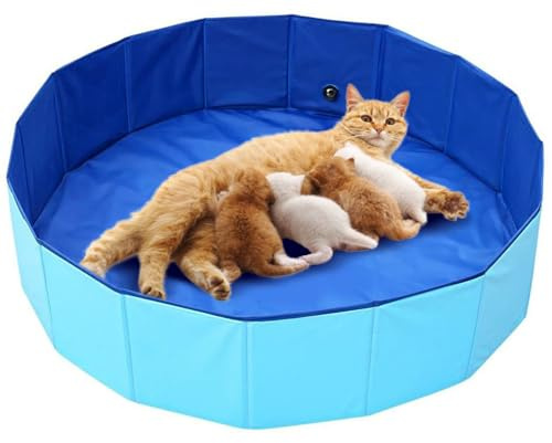 OIEKUN 32 Large Cat Birthing Box,Whelping Box for Cats,Cat Nesting Box | Whelping Pool,Pet Birth Supplies,Foldable Cates Bath Pool,Convenient Storage, Easy to Clean,Can be Used Indoors or Outdoors 
