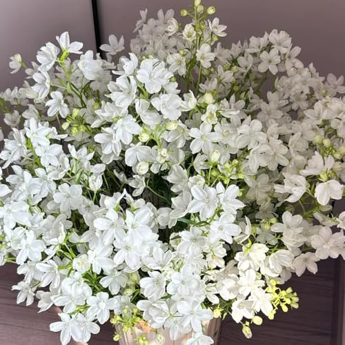 Semi di speronella - decorativi giardino balcone perenni resistenti 150pcs