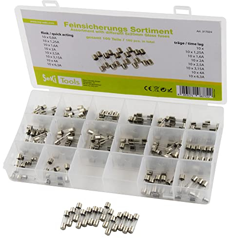 SeKi Fusibles en verre 160 pièces 5 x 20 Assortiment de 160 fusibles 16 types Flink + 8 fusibles temporisés 0,8 A, 1,25 A, 1,6 A, 2 A, 2,5 A, 3,15 A, 4 A et 6,3 A