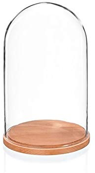 EMH Campana in vetro con base in faggio naturale, altezza 31 cm