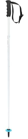 HEAD Youth Worldcup SL JR - Bastoncini da Sci Unisex, Colore: Bianco/Nero/Blu Speed, 100