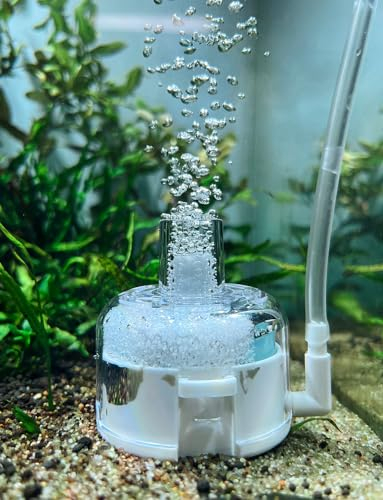 boxtech Mini Aquarium Sponge Filter,Internal Fish Tank Filter Sui for 1-5 Gallon Tank (No Include Pump and Tube)
