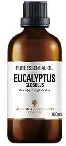 Amphora Aromatics Eucalyptus Essential Oil 100ml