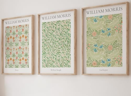 William Morris Set of 3 Unframed Prints, Art Nouveau Home Decor, Vintage Art, Botanical Flower Poster, Digital Art, Daisy Willow Bough Larkspur (A3)