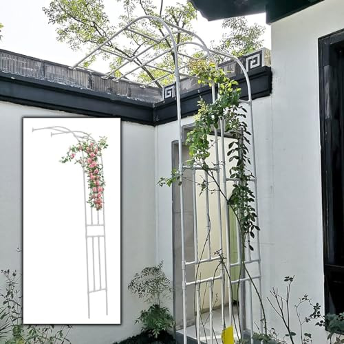 Arche de jardin en métal résistant aux intempéries - 220-300 cm - Support pour plantes grimpantes - Demi-arche pour roses - Décoration élégante - Blanc