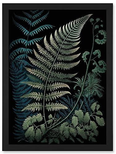 Artery8 Detailed Fern Frond Species Botanical Illustration Artwork Framed A3 Wall Art Print