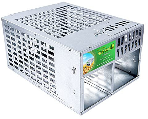 Rattenfalle Aus Draht Mausefalle Lebendfalle Für Mäuse Und Ratten Schlagfallen Tiefreundlich Keitrattenfallen Lebende Ratte Und Eichhörnchen Humane Falle Rattenfalle,S-1pcs