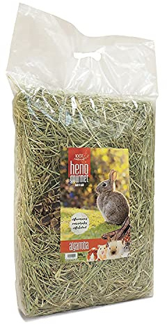 TRIXIE - Fieno con carruba per piccoli mammiferi, 500 g, 100% naturale, ricco di fibre, ideale per conigli, porcellini d'India e furetti, supporta la digestione e la salute dentale