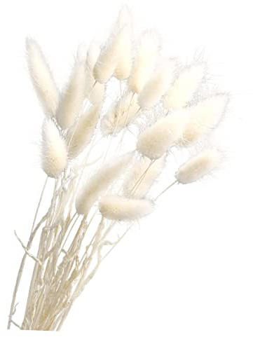 ifundom Decoración De Mesa Pc 1 Ramos De Flores Hojas Secas De Palma Caña Cola De Conejo De Seda Falsos Tallos De Pampa Pomposa Adornos De Seca Decoración De Eterna Seco Rural Pennisetum