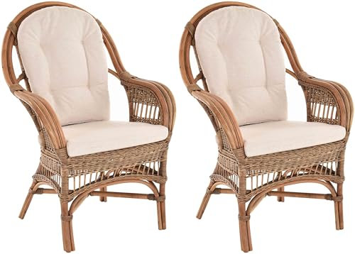 Krines Home Set/2 Breite Rattan Wintergartensessel Finco Wintergarten Rattansessel hohe Rückenlehne mit Armlehne (Vintage Braun)