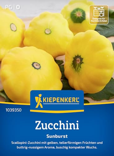 Kiepenkerl Zucchinisamen Sunburst 1039350 für 10 Pflanzen – Dekorative gelbe Zucchinisamen, robust für verschiedene Anbaubedingungen, ideal für Freiland & Hochbeete