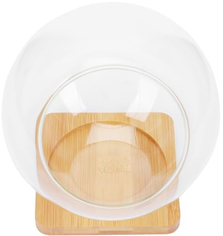 Kichvoe 1 Ensemble De Micro-Bouteilles en Verre pour Paysage Supports De Rangement Multifonctionnels pour La Maison