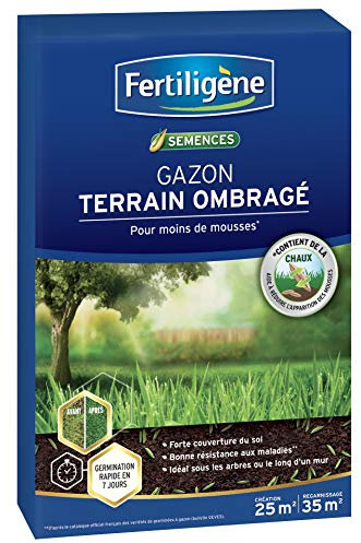 FERTILIGENE OMBR25 - Semences Gazon Terrain Ombragé 875 g - Premières pousses en 1 semaine - Limite les mousses et résiste aux maladies - Zones à faible ensoleillement (sous les arbres) - Pour 200m²